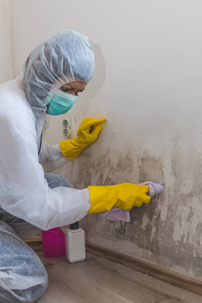 Best Airborne Mold Testing  in Plymouth, WI